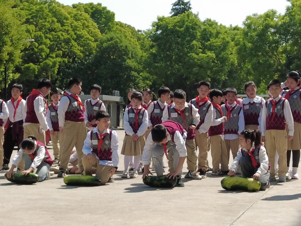 DJI_0869