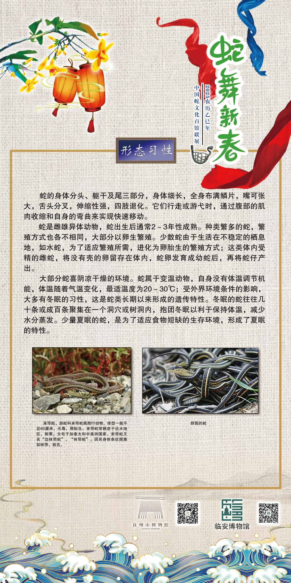 005_看圖王_看圖王
